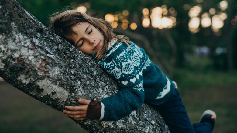 Ukjent landskap - Fondo