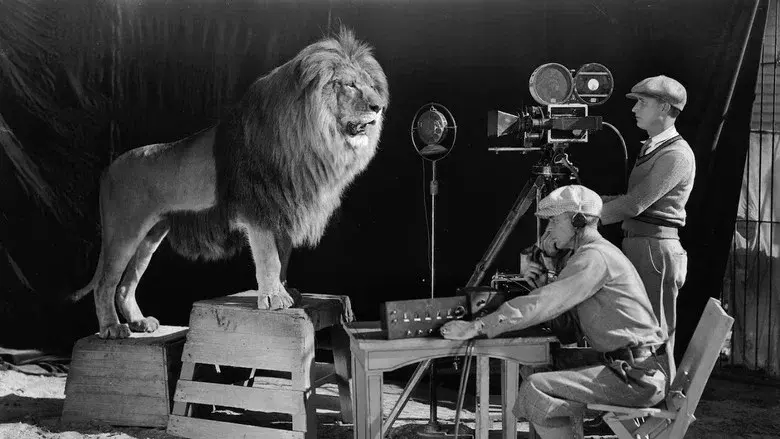 MGM: When the Lion Roars - Fondo