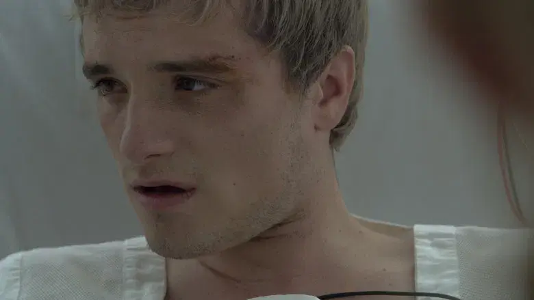 Los Juegos del Hambre: Sinsajo - Parte 2 - Fondo