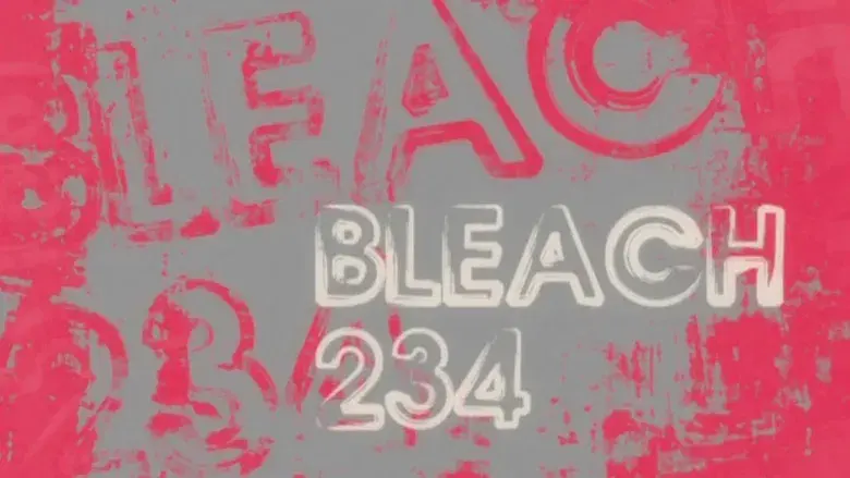 ¡¿Renji sorprendido?! Las dos Zabimarus