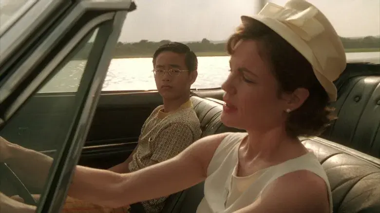 The Flamingo Rising - Fondo