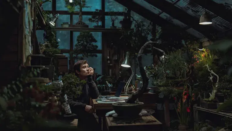 No hay otra opción - Fondo