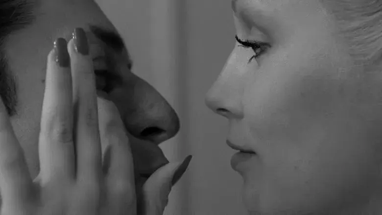 Toro salvaje - Fondo