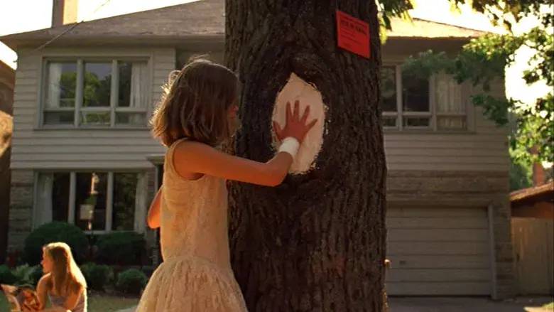 Las vírgenes suicidas - Fondo