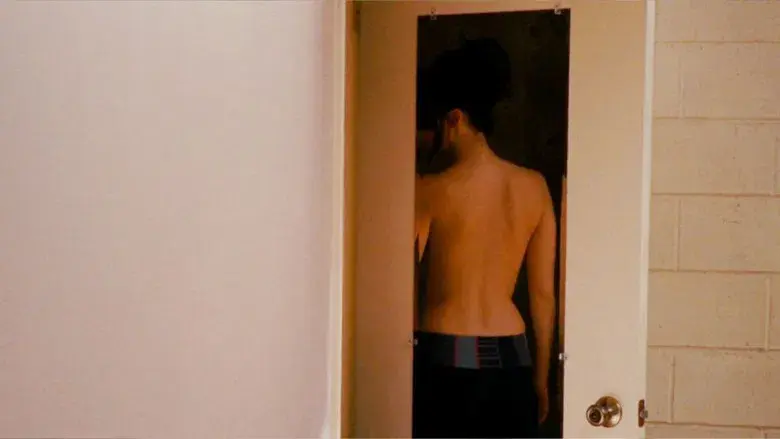 El lado bueno de las cosas - Fondo