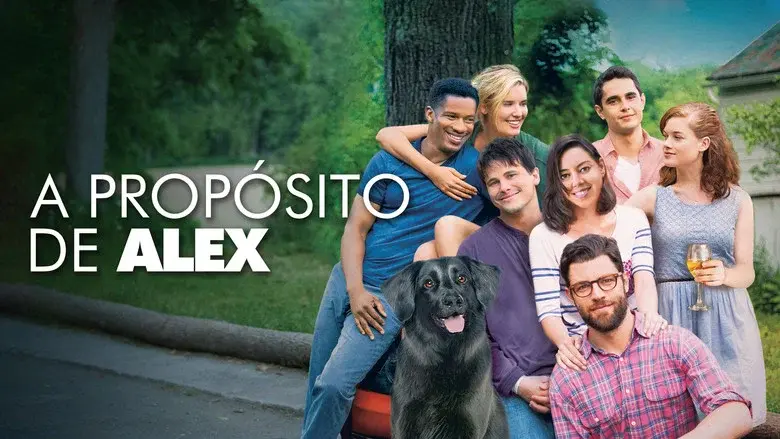 Reencuentro de amigos - Fondo