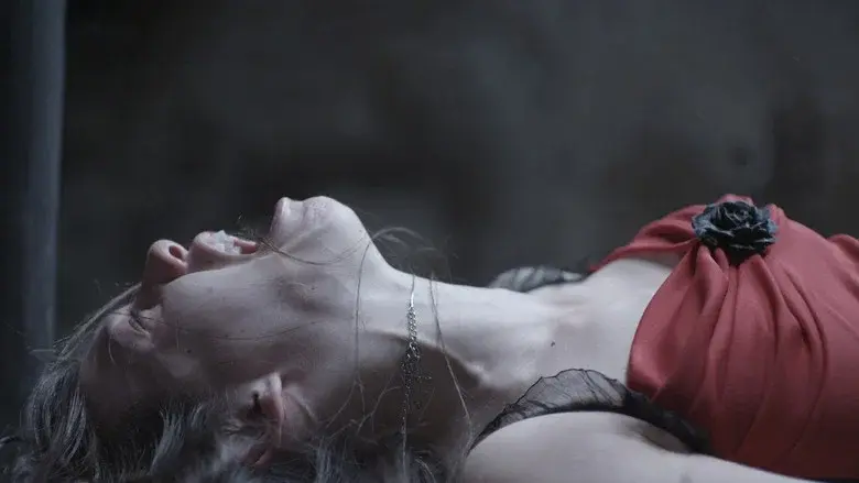 Escupiré sobre tu tumba 2 - Fondo