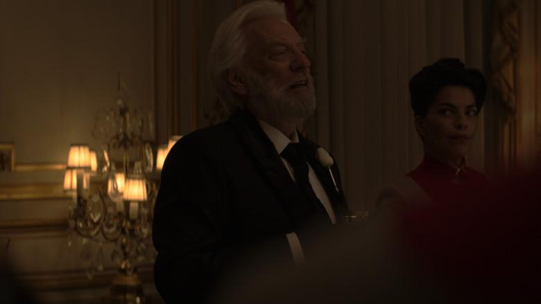 Los Juegos del Hambre: Sinsajo - Parte 2 - Fondo