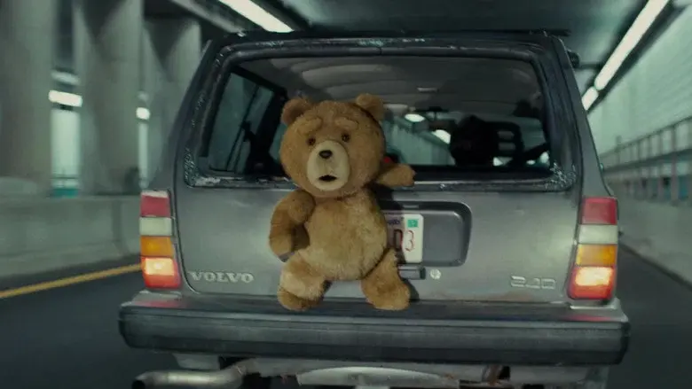Ted - Fondo