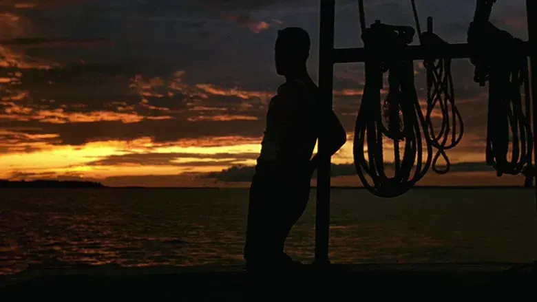 Forrest Gump - Fondo