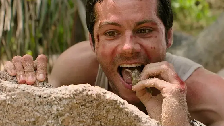 SEND HELP (Enviad ayuda) - Fondo