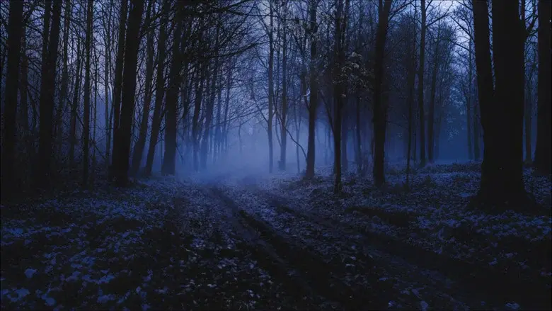 The Haunting Hour: La Serie - Fondo