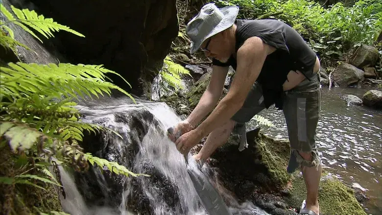La isla de la cinta adhesiva