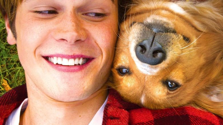 Tu mejor amigo - Fondo