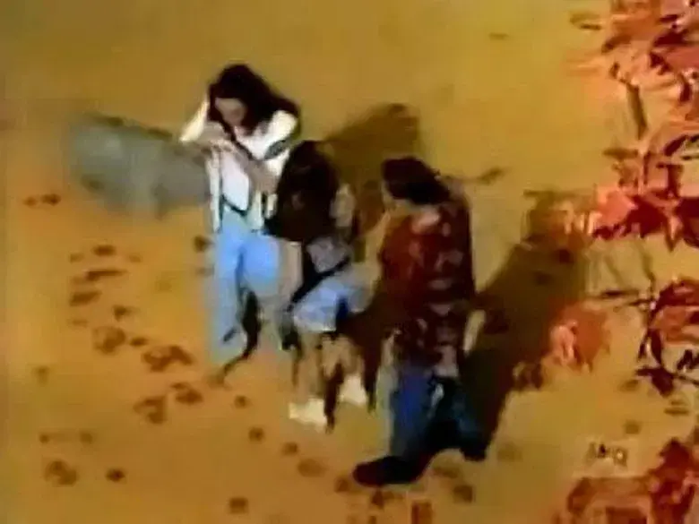 Los Rangers del libro de cuentos (1ª parte)