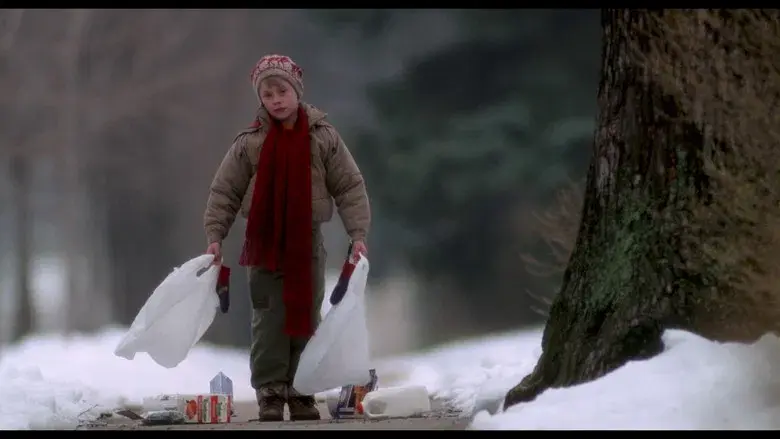 Solo en casa - Fondo