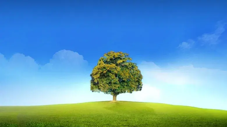 Who Do You Think You Are? - Fondo