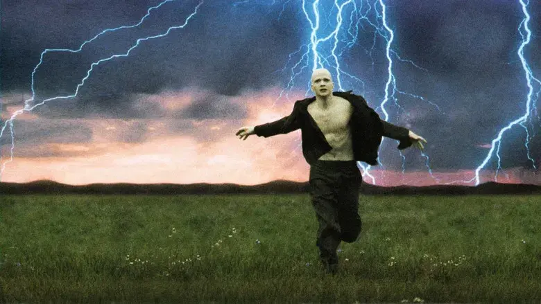 Powder (Pura energía) - Fondo