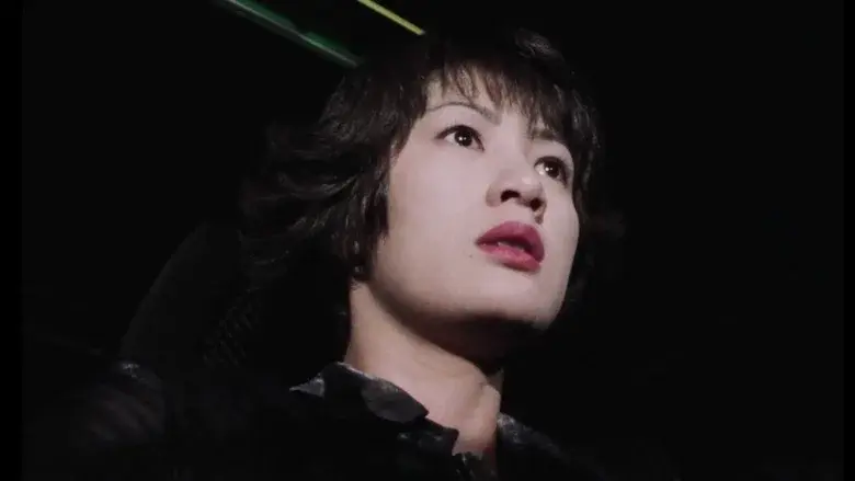 XX 美しき機能 - Fondo
