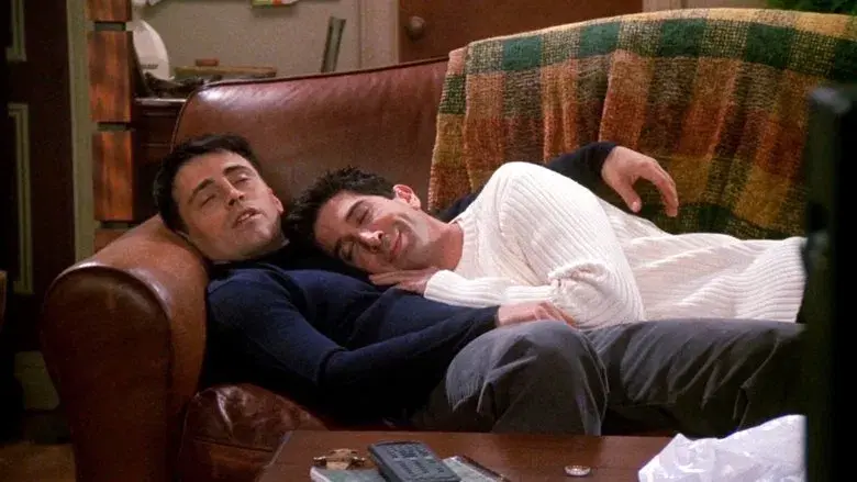 El de los compañeros de siesta