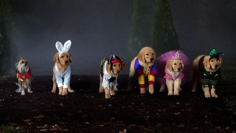 Truco, trato y Buddies - Fondo