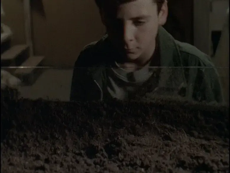 Vete a comer gusanos