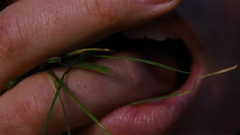 “Cumbres Borrascosas” - Fondo