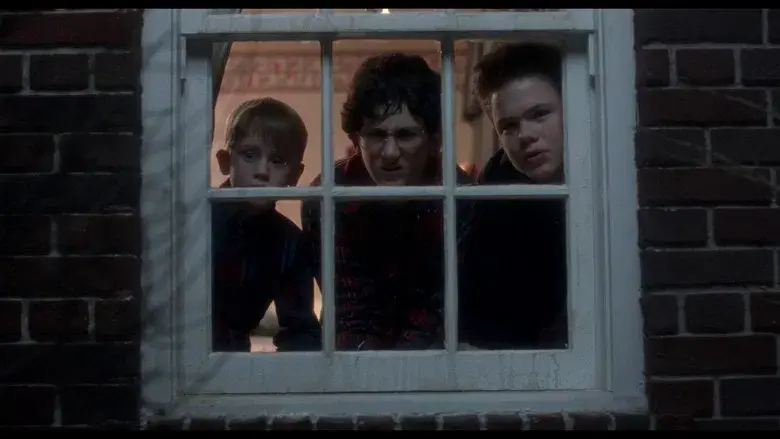 Solo en casa - Fondo