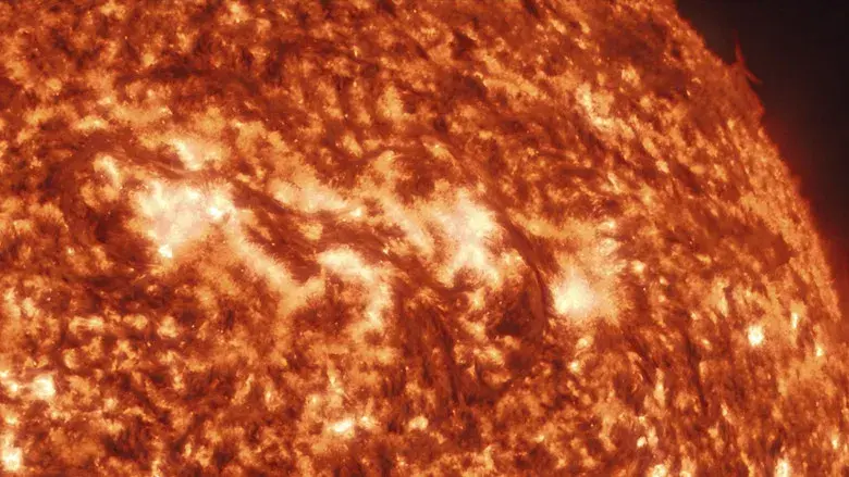 Proyecto salvación - Fondo