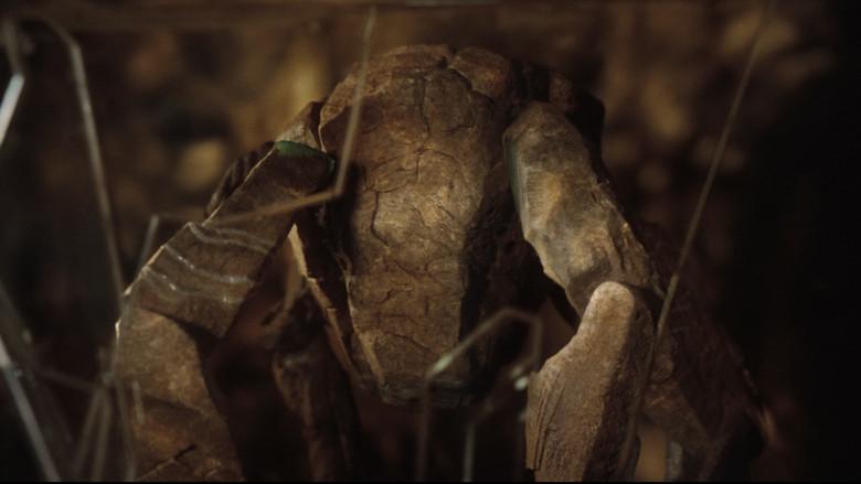 Proyecto salvación - Fondo