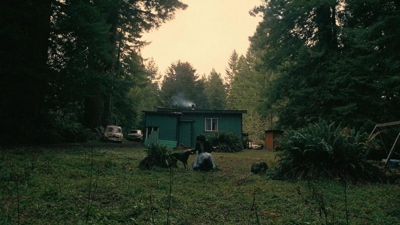 Una batalla tras otra - Fondo