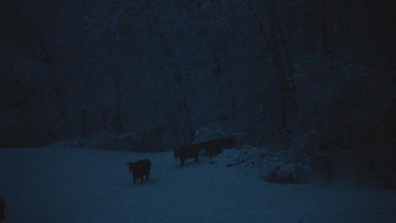 The Human Hibernation - Fondo