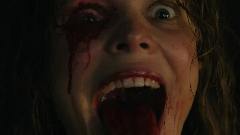 SEND HELP (Enviad ayuda) - Fondo