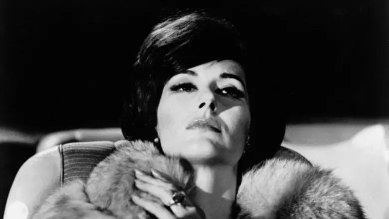 Punto límite - Fondo