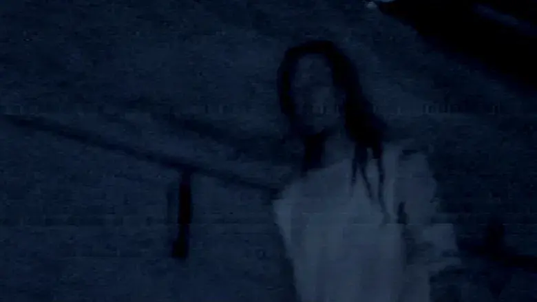 Devuélvemela - Fondo