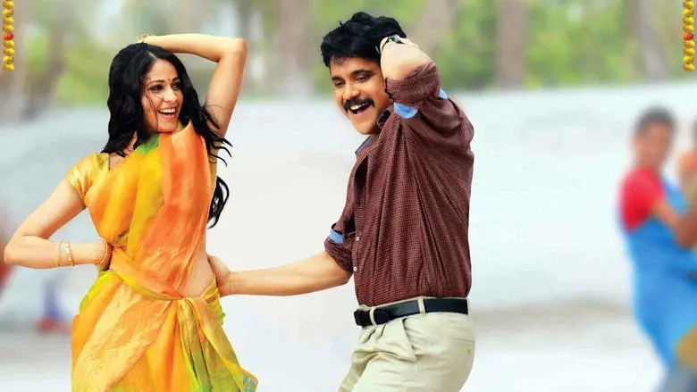 సోగ్గాడే చిన్నినాయనా - Fondo