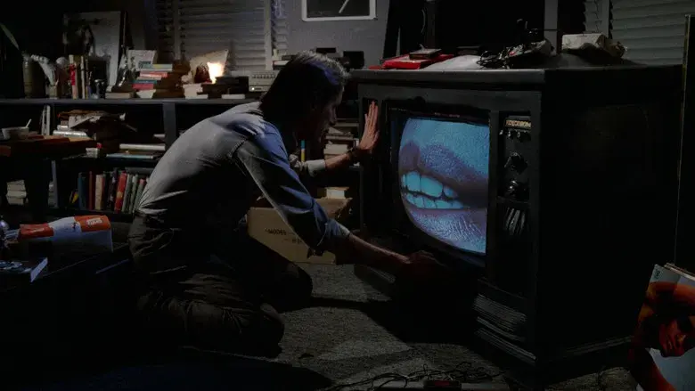 Videodrome - Fondo