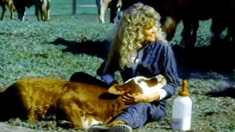 Coast to Coast - Fondo