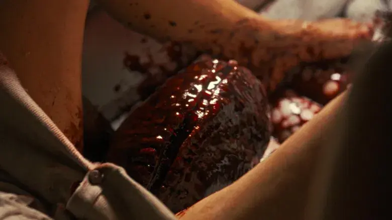 Alien: Romulus - Fondo