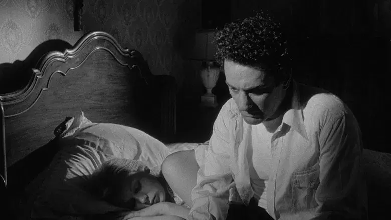 Toro salvaje - Fondo