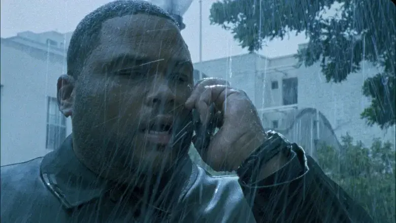 El señor del anillo