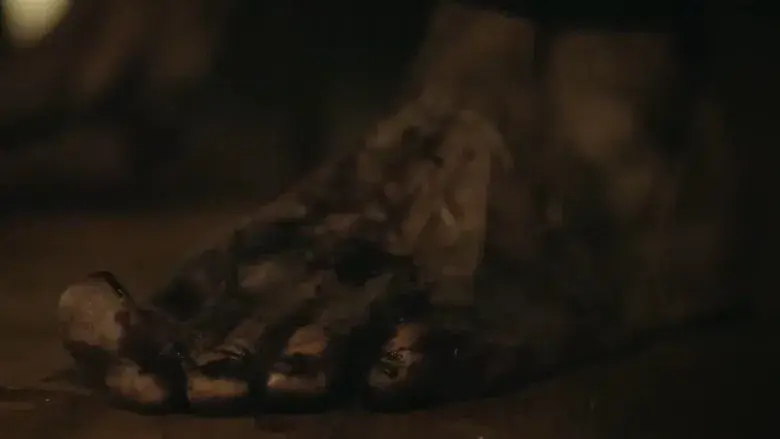 Retratos del Apocalipsis - Fondo