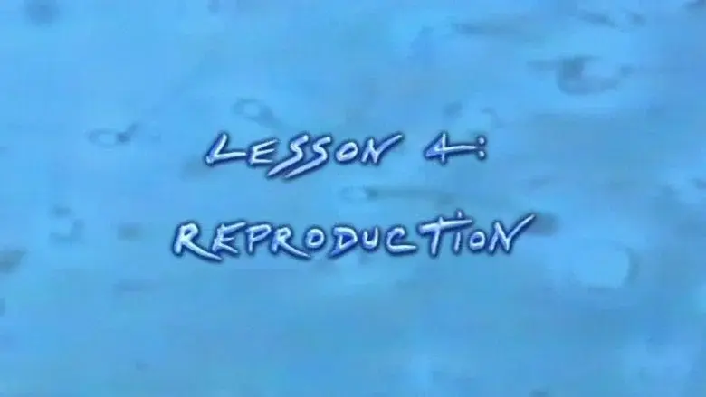 Episodio 4
