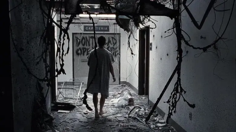 The Walking Dead - Fondo