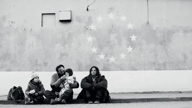 Green Border - Fondo