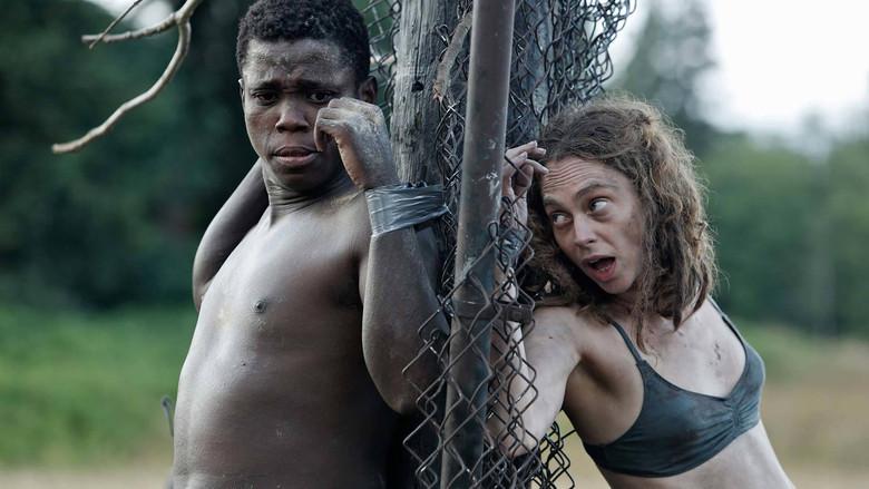 Aficionados a las paredes sin escrúpulos