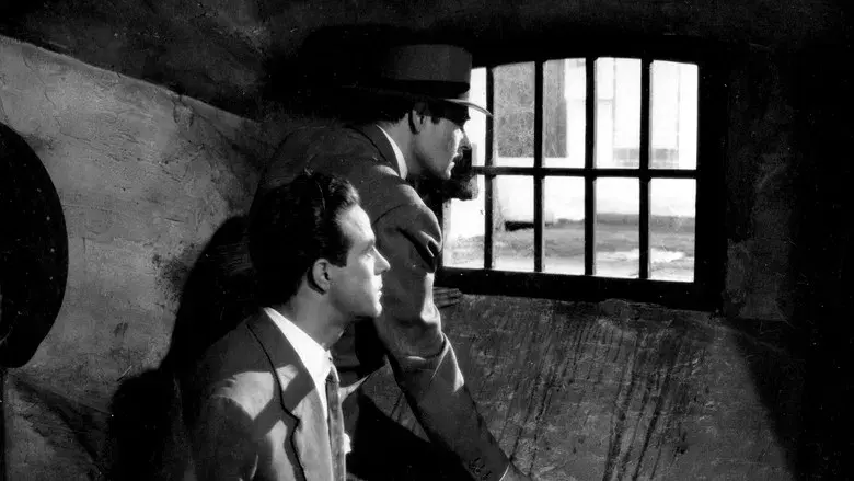 Apartado de correos 1001 - Fondo