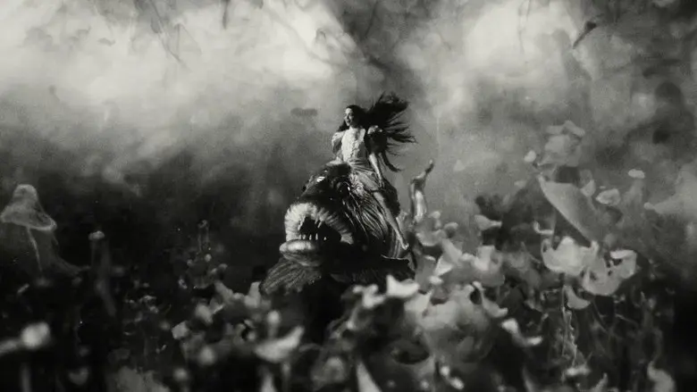 Pobres criaturas - Fondo