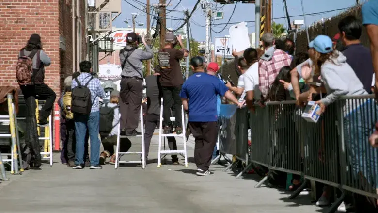 Hollywood Signs - Fondo