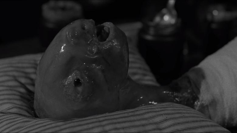 Cabeza borradora - Fondo